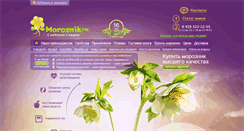 Desktop Screenshot of moroznik.ru